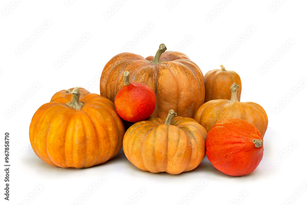 Fresh raw nutmeg pumpkins and red kuri pumpkin ( hokkaido ) on a white background with space for text Fresh raw nutmeg pumpkins and red kuri pumpkin ( hokkaido ) on a white background with space for text