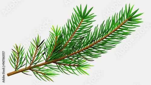 Pine tree branch set realistic vector illustration. Fir twigs with green needles isolated on transparent background. Winter holiday evergreen decoration, spruce or cedar elements,