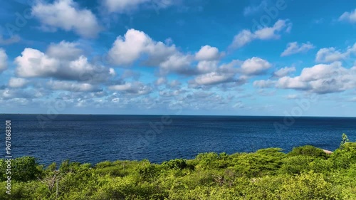 Wallpaper Mural Aerial view of a beautiful tropical island with lush greenery and serene ocean, Caribbean. Torontodigital.ca