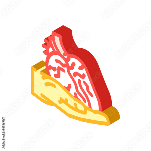 organ transplant surgery isometric icon vector. organ transplant surgery sign. isolated symbol illustration