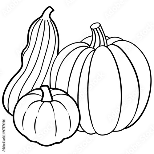 acorn squash spaghetti squash pumpkin vegetables  outline coloring book page line art illustration digital drawing