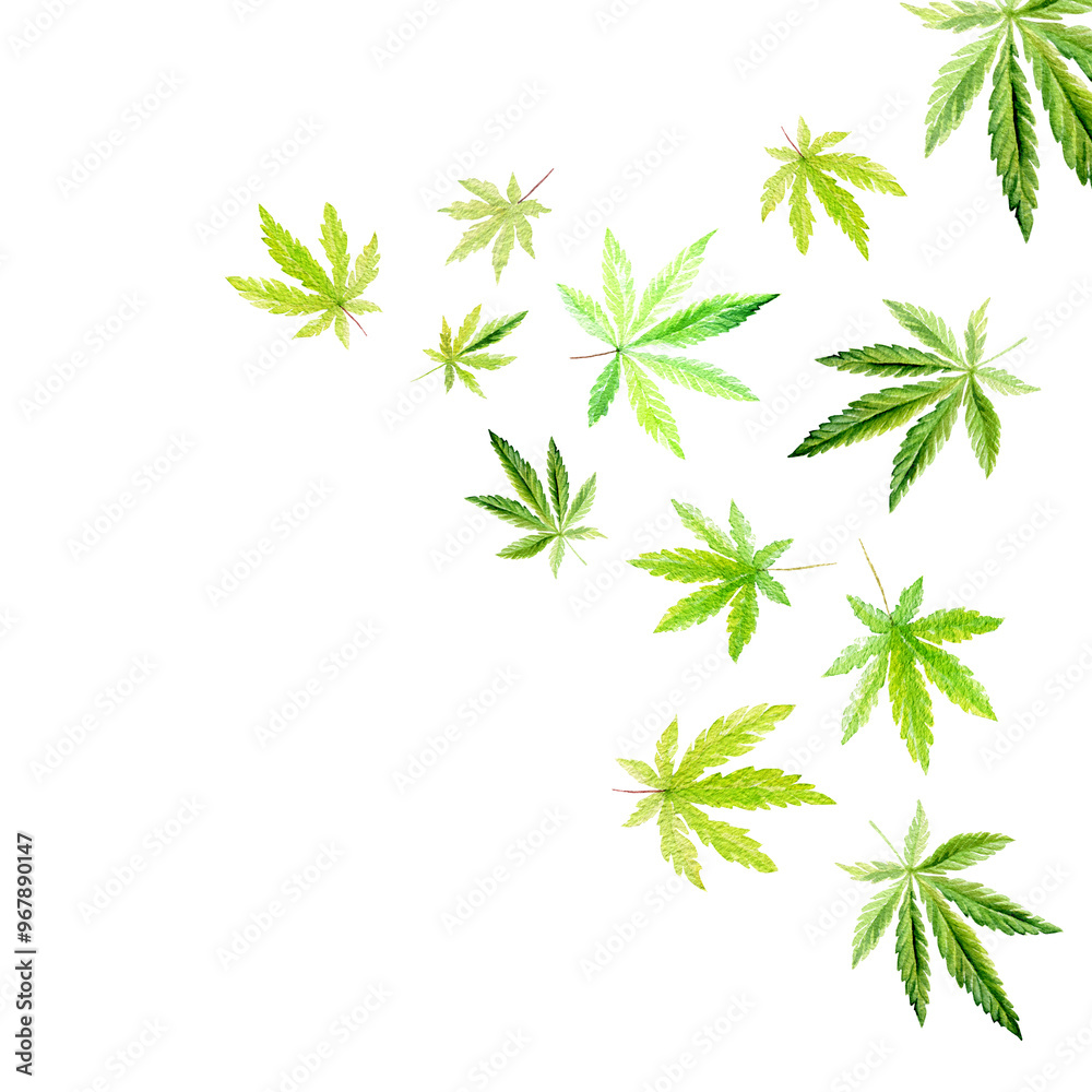 Banner, template with a green triangle of Cannabis indica, Marijuana medicinal plant. Watercolor illustration Banner, template with a green triangle of Cannabis indica, Marijuana medicinal plant. Watercolor illustration