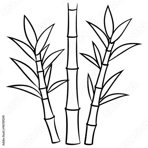 bamboo shoots vegetable outline coloring book page line art illustration digital drawing