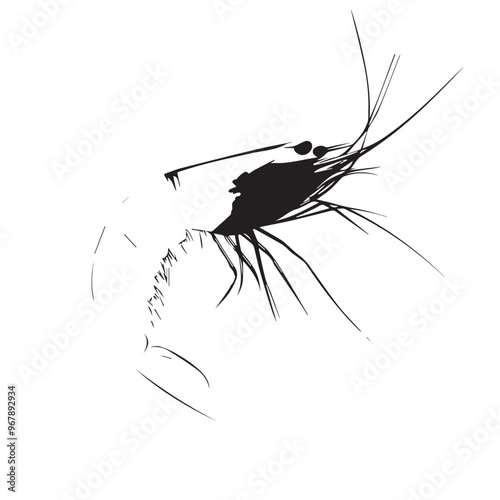 Shrimp in cartoon, doodle style . Image for t-shirt, web, mobile apps and ui. Isolated 2d vector illustration in logo, icon, sketch style, Eps 10, black and white. AI Generative