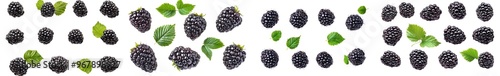 Blackberries with leaves isolated on white background. photo