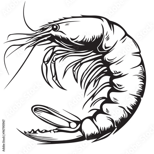 Shrimp in cartoon, doodle style . Image for t-shirt, web, mobile apps and ui. Isolated 2d vector illustration in logo, icon, sketch style, Eps 10, black and white. AI Generative