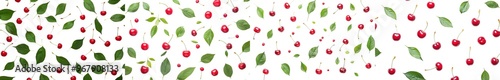 Isolated sweet cherry fruits on a white background