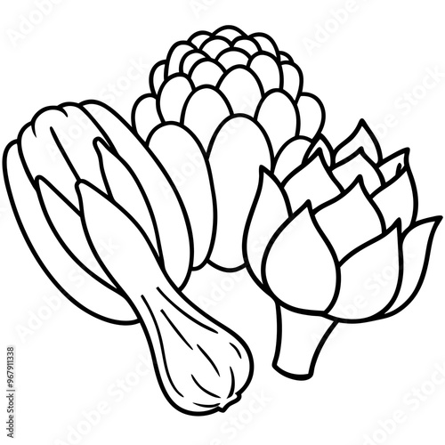 bok choy artichokes okra vegetables outline coloring book page line art illustration digital drawing