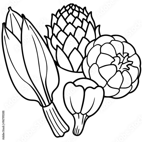 bok choy artichokes okra vegetables outline coloring book page line art illustration digital drawing