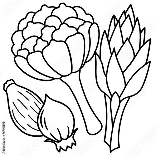 bok choy artichokes okra vegetables outline coloring book page line art illustration digital drawing