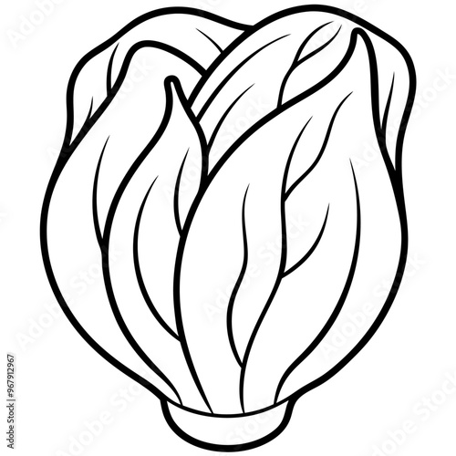 bok choy vegetable outline coloring book page line art illustration digital drawing