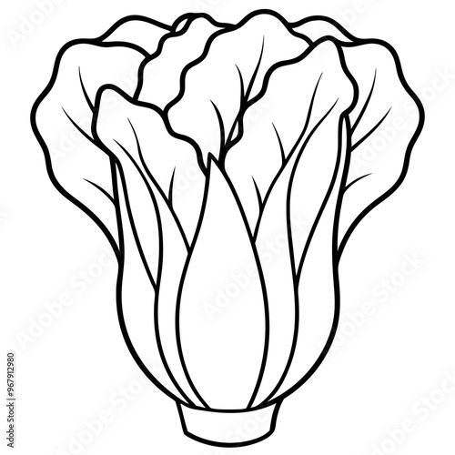 bok choy vegetable outline coloring book page line art illustration digital drawing