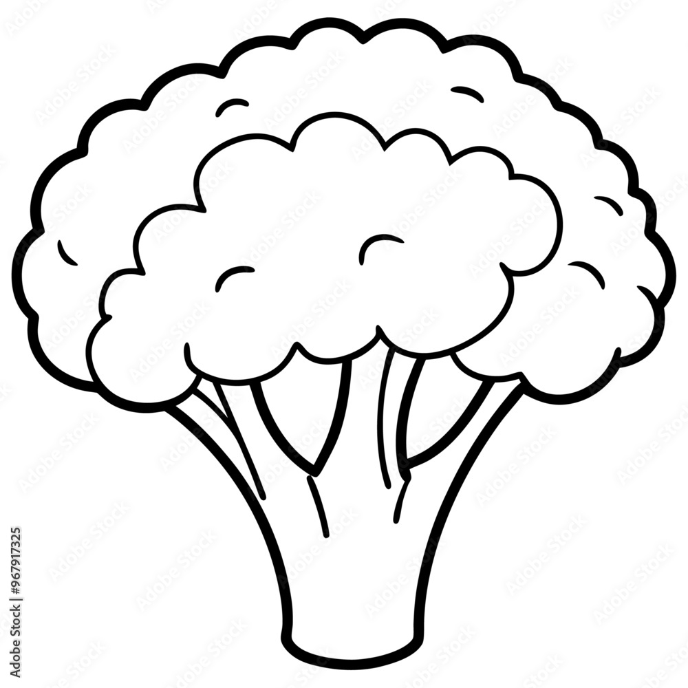 broccoli vegetable outline coloring book page line art illustration digital drawing broccoli vegetable outline coloring book page line art illustration digital drawing