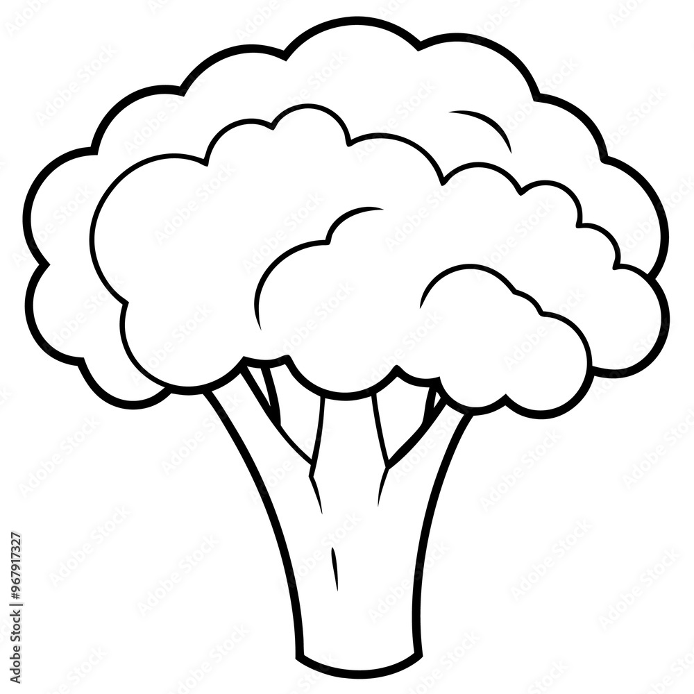 broccoli vegetable outline coloring book page line art illustration digital drawing broccoli vegetable outline coloring book page line art illustration digital drawing