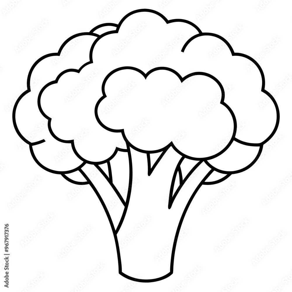 broccoli vegetable outline coloring book page line art illustration digital drawing broccoli vegetable outline coloring book page line art illustration digital drawing