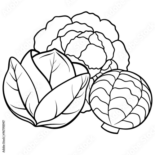 brussels sprouts cabbage zucchini vegetables outline coloring book page line art illustration digital drawing