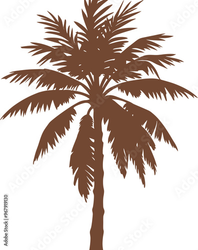 palm tree silhouette