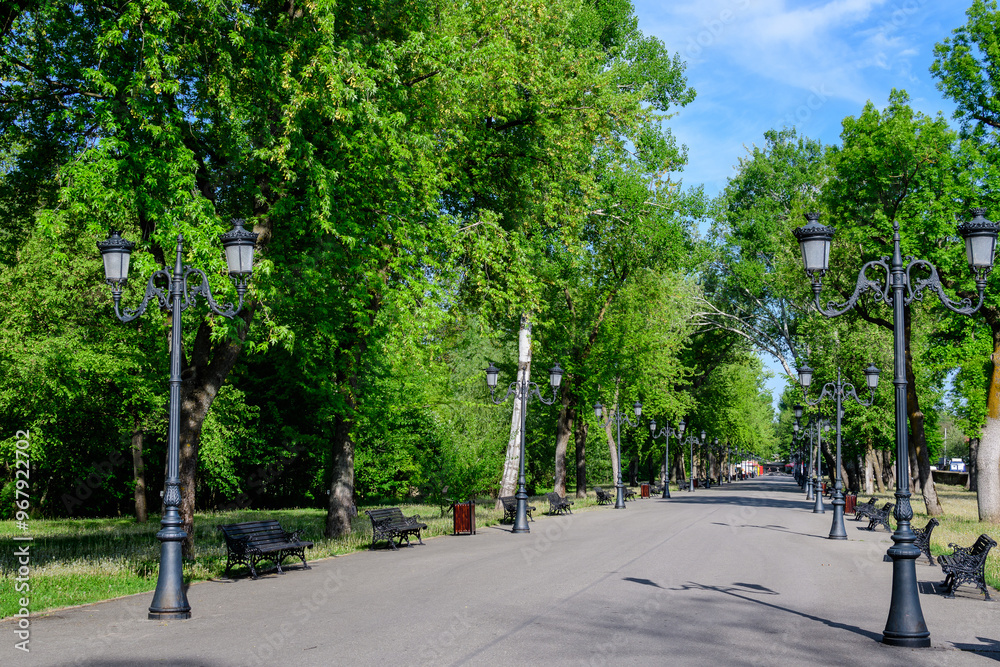 Landscape with old green trees and grey alley in Mogosoaia Park (Parcul Mogosoaia), a weekend attraction close to Bucharest, Romania, in a sunny spring day. Landscape with old green trees and grey alley in Mogosoaia Park (Parcul Mogosoaia), a weekend attraction close to Bucharest, Romania, in a sunny spring day.