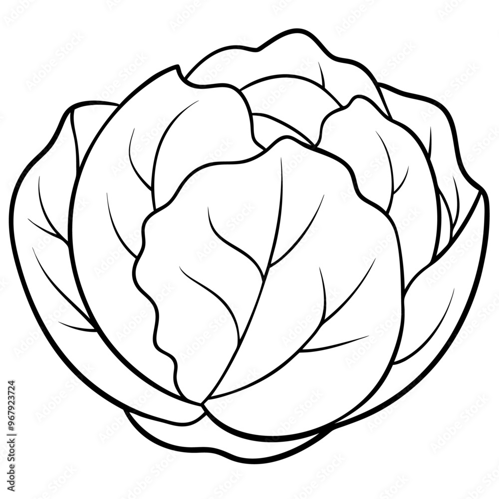 brussels sprouts vegetable outline coloring book page line art illustration digital drawing brussels sprouts vegetable outline coloring book page line art illustration digital drawing