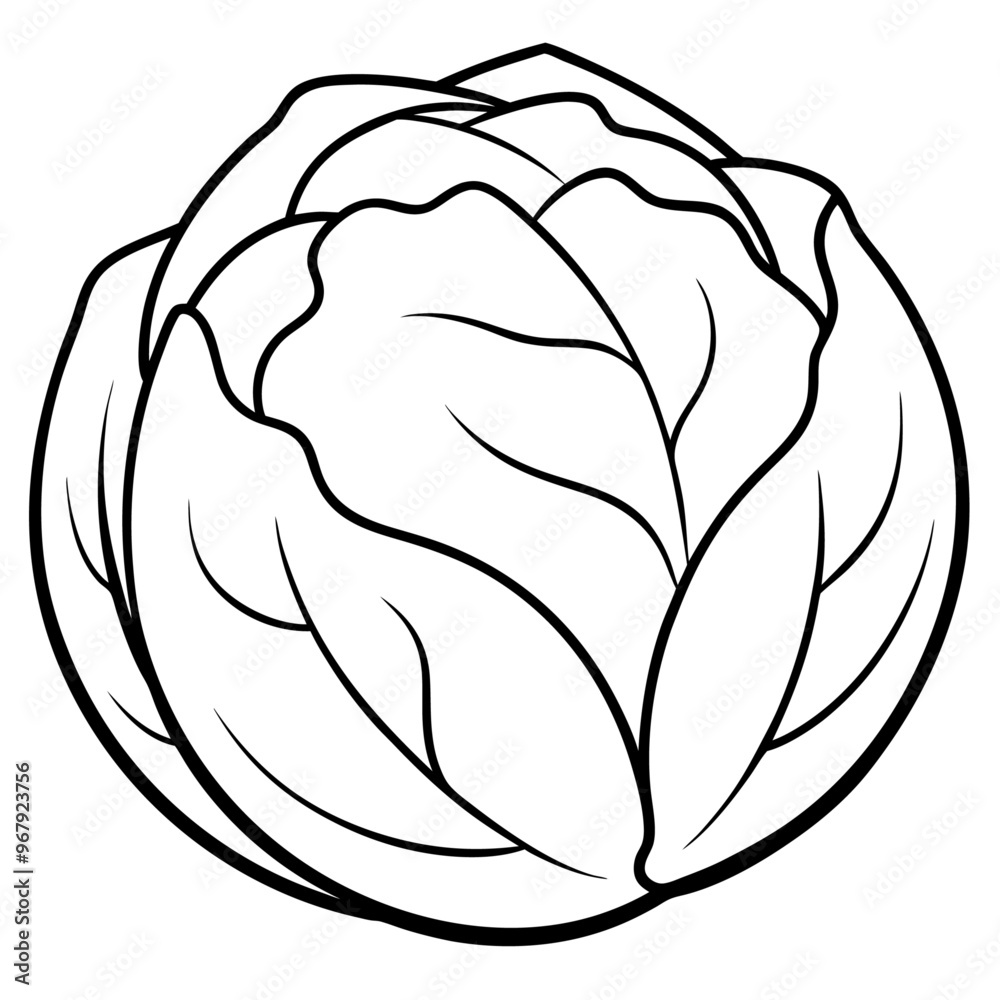 brussels sprouts vegetable outline coloring book page line art illustration digital drawing brussels sprouts vegetable outline coloring book page line art illustration digital drawing