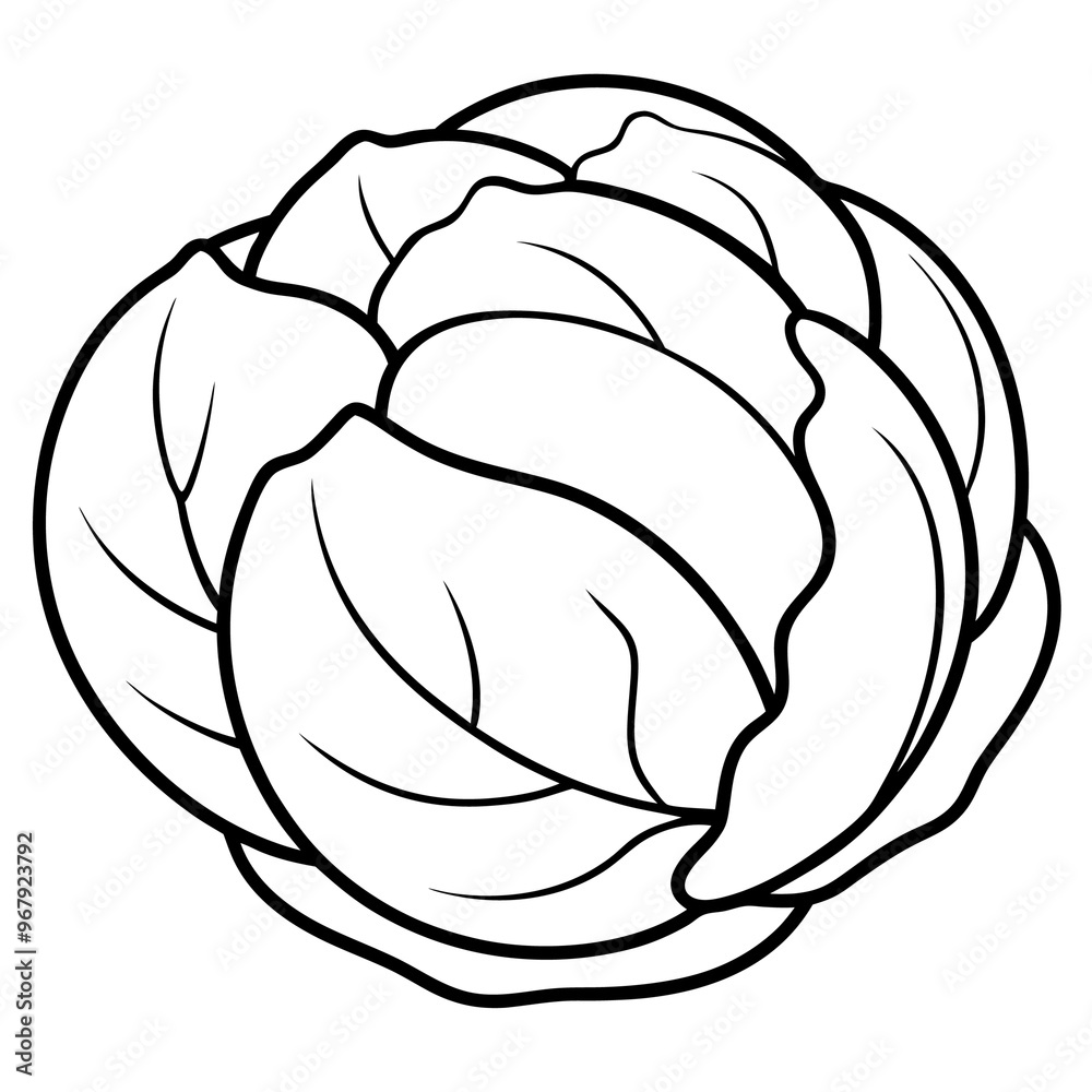 brussels sprouts vegetable outline coloring book page line art illustration digital drawing brussels sprouts vegetable outline coloring book page line art illustration digital drawing