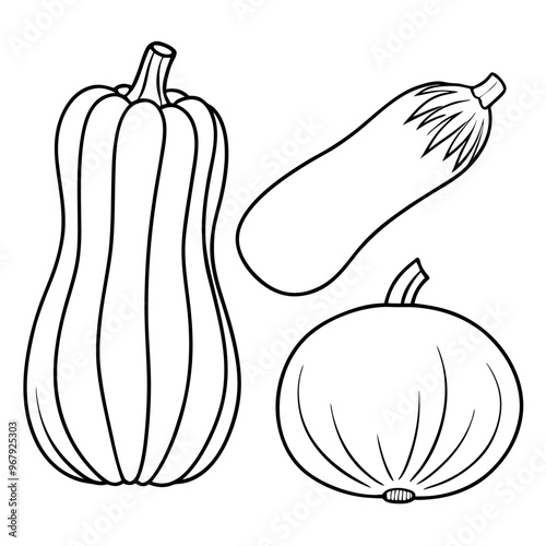butternut squash acorn squash spaghetti squash vegetable outline coloring book page line art illustration digital drawing