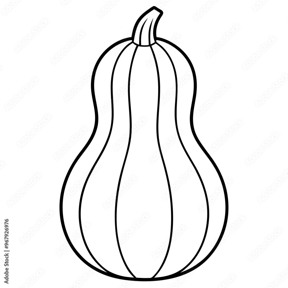 butternut squash vegetable outline coloring book page line art illustration digital drawing butternut squash vegetable outline coloring book page line art illustration digital drawing