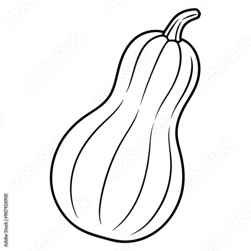 butternut squash vegetable outline coloring book page line art illustration digital drawing