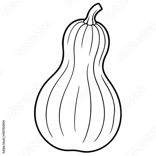butternut squash vegetable outline coloring book page line art illustration digital drawing