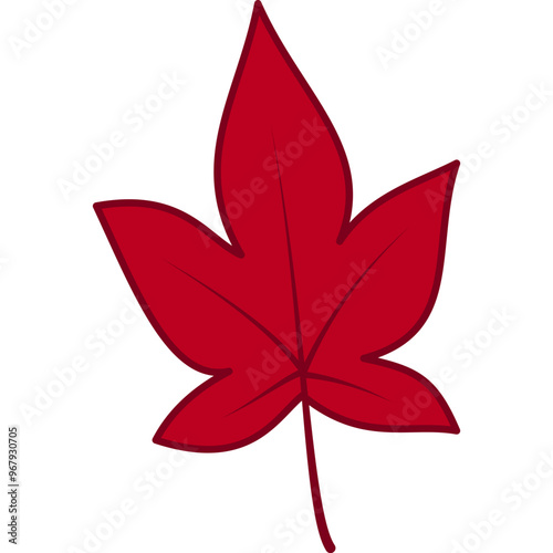 Autumn Leaf Illustration
