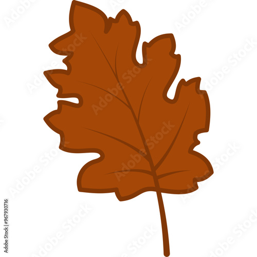 Autumn Leaf Illustration
