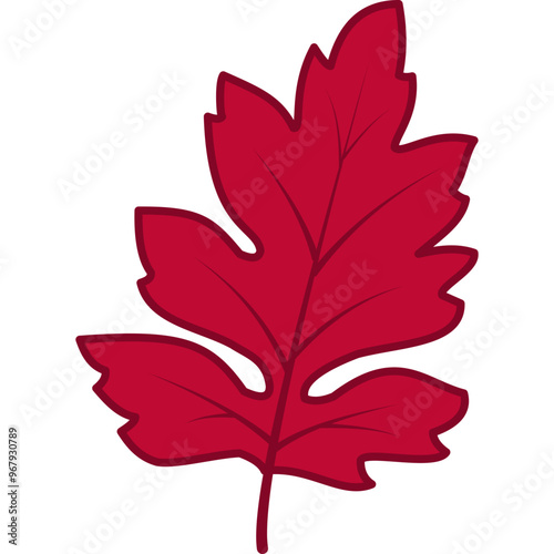 Autumn Leaf Illustration
