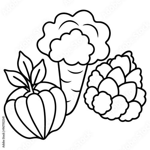 carrots cauliflower brussels sprouts vegetables outline coloring book page line art illustration digital drawing