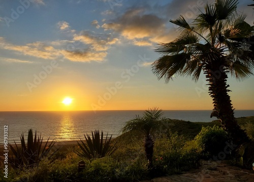 sunset on the beach, framed by palm trees, clouds 