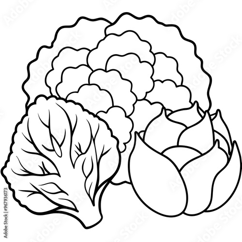 cauliflower brussels sprouts cabbage vegetables outline coloring book page line art illustration digital drawing