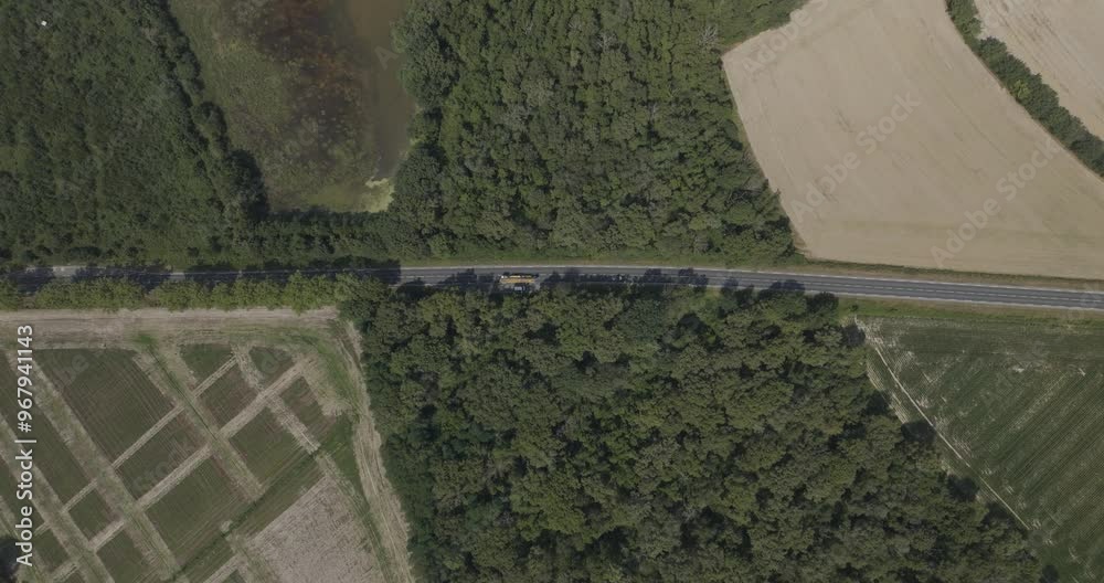 Aerial view of tranquil Parc des Oiseaux with lush green fields, serene woodland, and winding road, Marlieux, France.