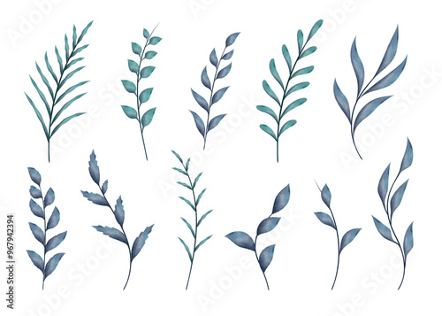 Watercolor branches with leaves, isolated vector elements on white background.