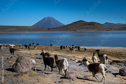 Salar Arequipa / Peru