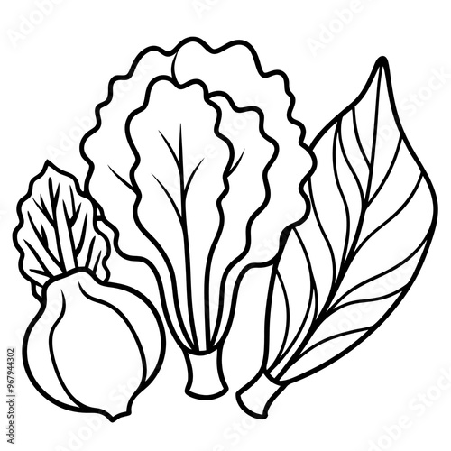 collard greens mustard greens bok choy vegetables outline coloring book page line art illustration digital drawing