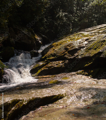 golden cascade