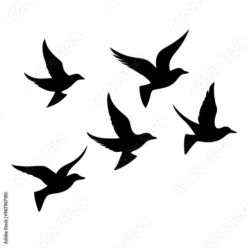 silhouettes of birds  transparent background png file,
