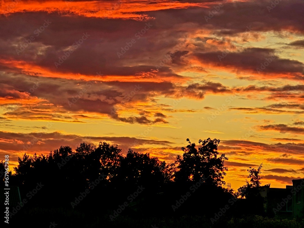 sunset in the city