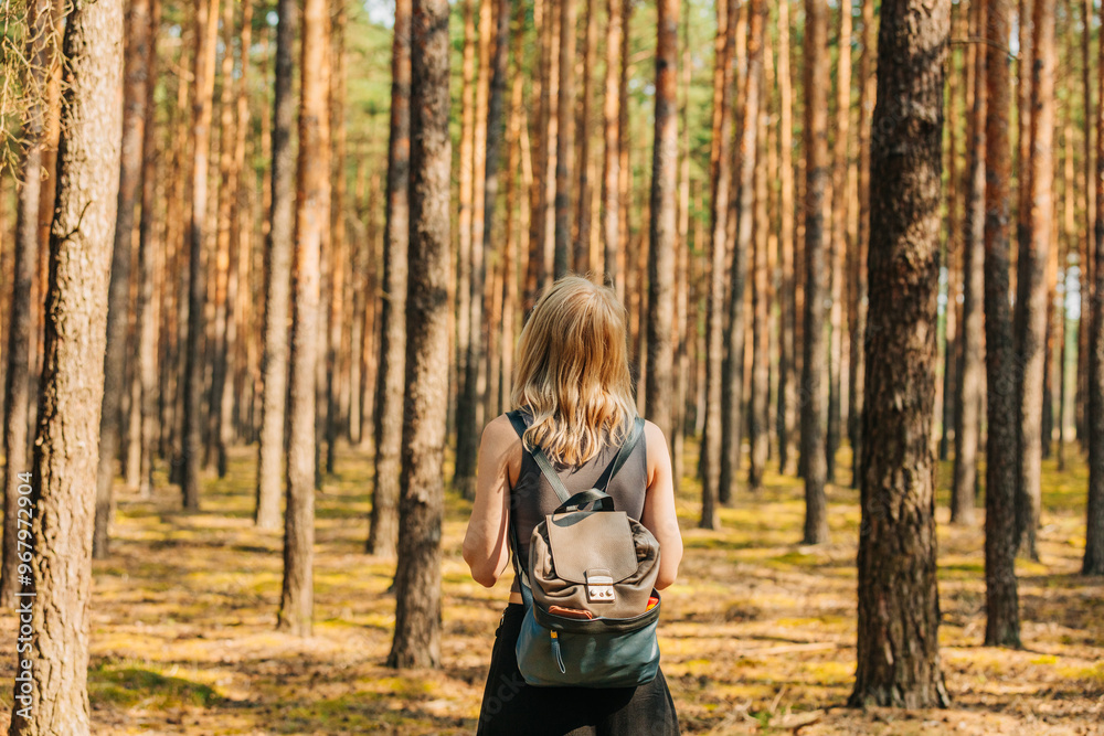 A young white woman tourist with a backpack in a pine forest in summer A young white woman tourist with a backpack in a pine forest in summer