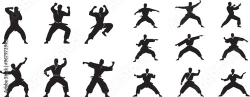 Black Silhouette Martial artist striking a pose