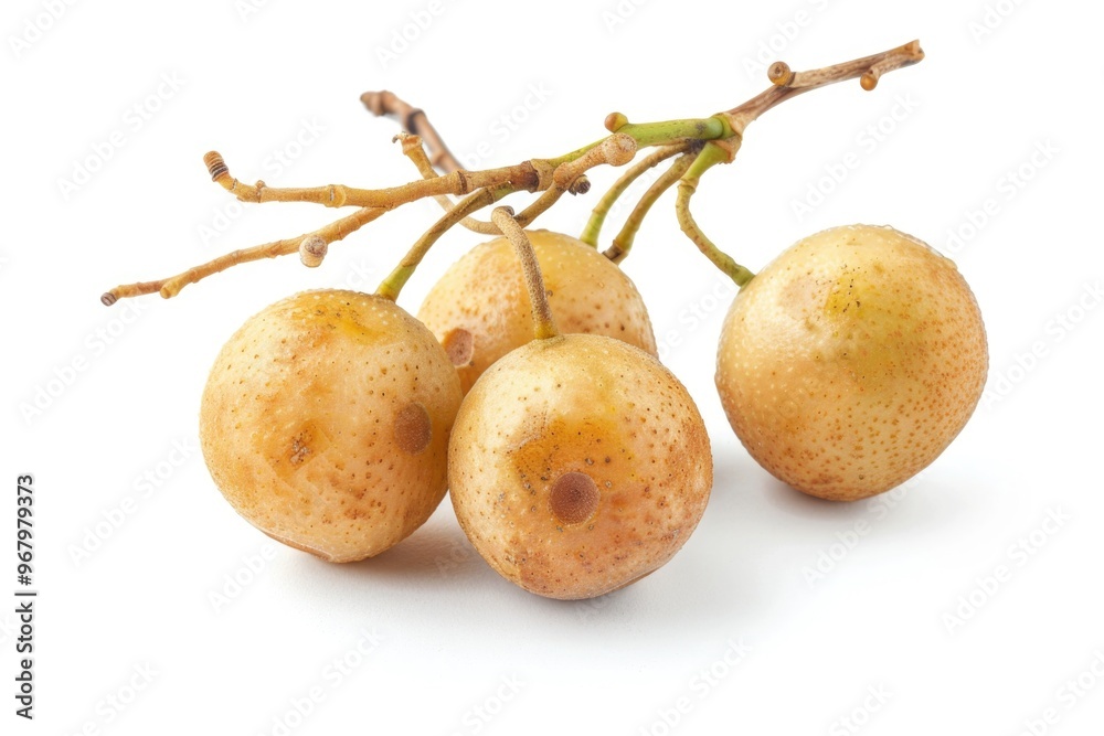 A collection of fresh fruits arranged on a white surface, perfect for food photography or still life compositions A collection of fresh fruits arranged on a white surface, perfect for food photography or still life compositions