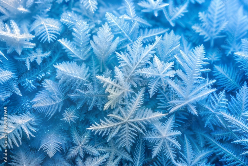 Intricate ice crystals in blue and white close-up Intricate ice crystals in blue and white close-up