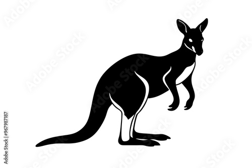 cangaroo icon silhouette ,cangaroo animal white background