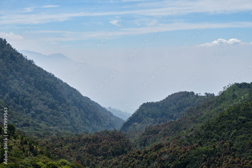 Mountain Peaks Rising Amid Verdant Forests Mountain Peaks Rising Amid Verdant Forests