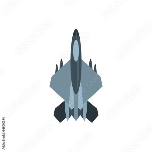 Fighter jet. Flat image and top view