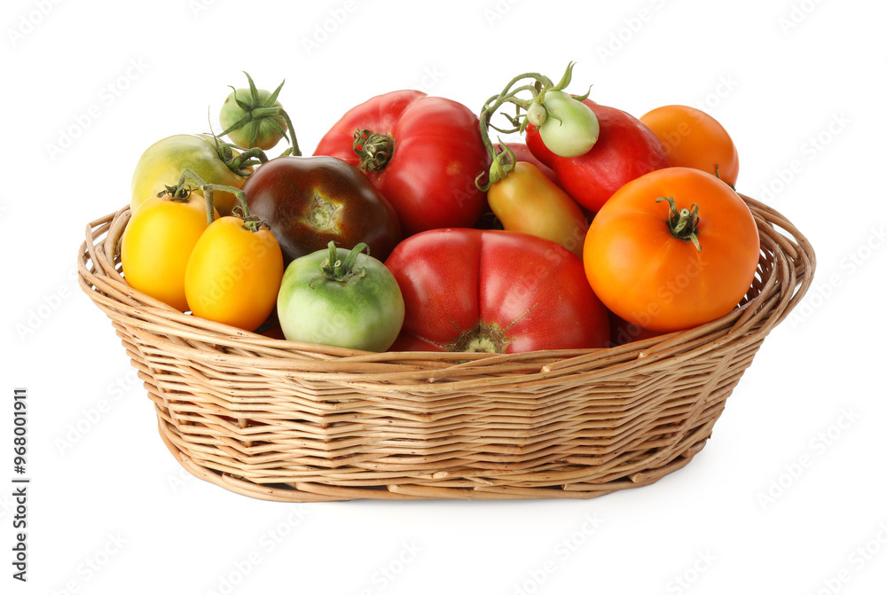 Different ripe tomatoes in basket isolated on white Different ripe tomatoes in basket isolated on white